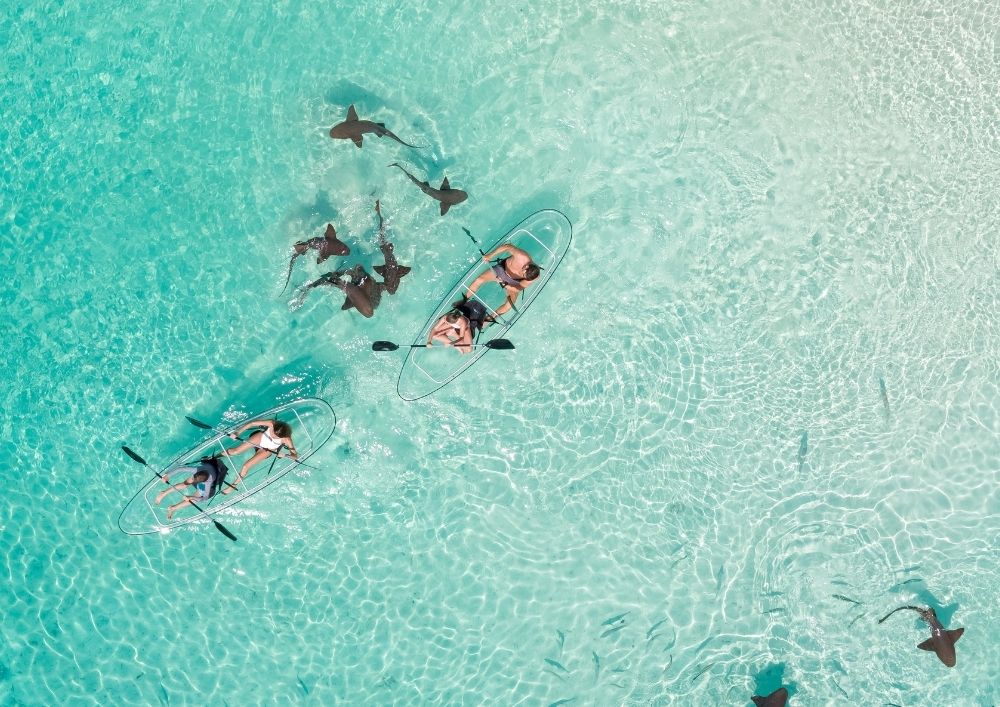 Compass cay exuma