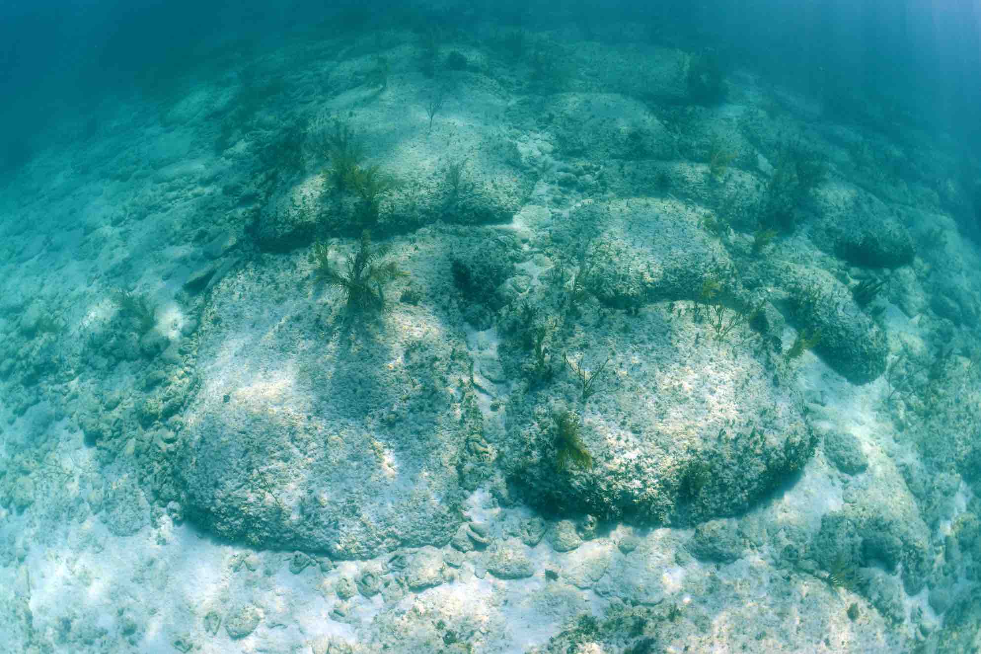 Bimini road ftlaudgirl