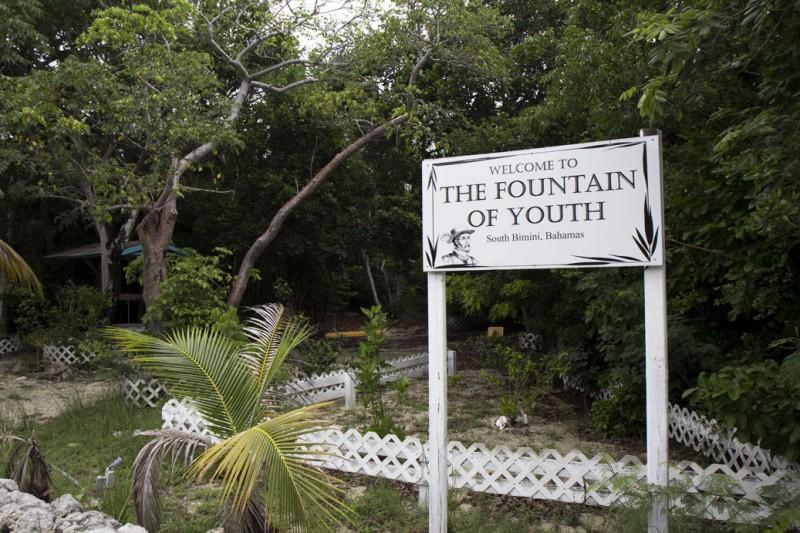 Fountain Of Youth Bimini